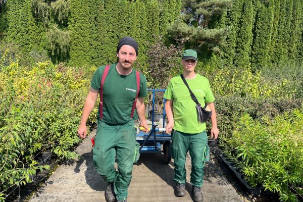 zwei Mitarbeiter ziehen Wagen