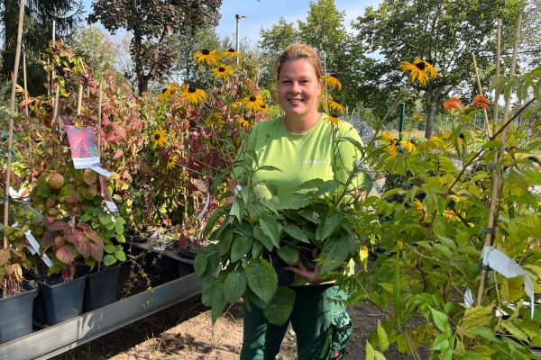 Mitarbeiterin zeigt Blumen