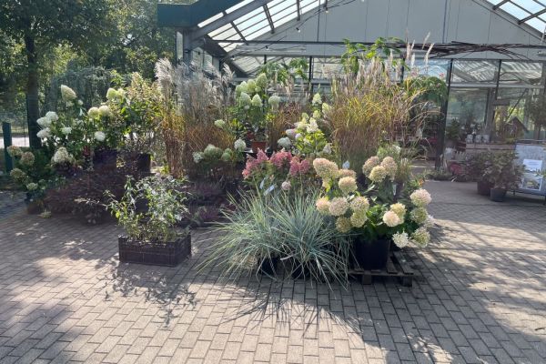 Eingang Gartencenter