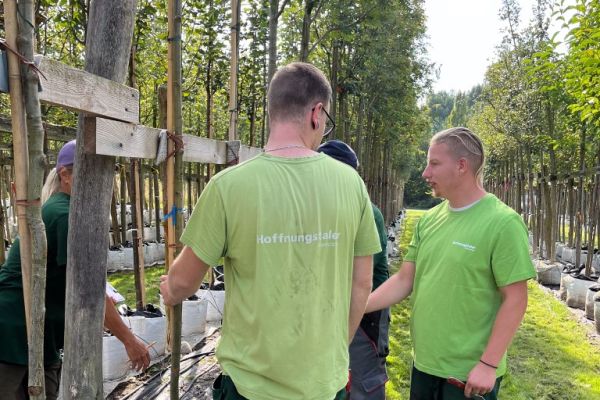 Mitarbeiter vor den Bäumen