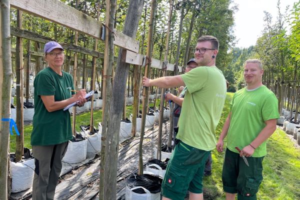 Mitarbeiter an den Bäumen