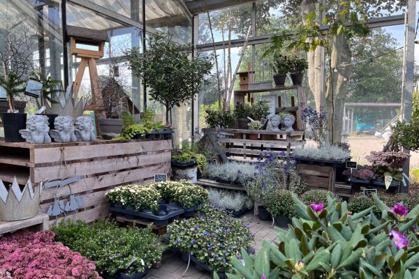 Pflanzen im Verkaufsraum