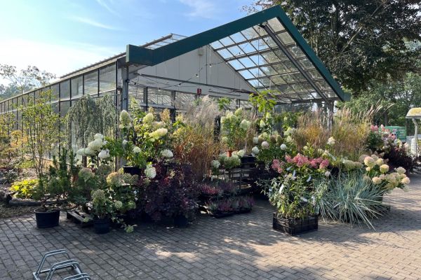 Pflanzen vor dem Verkaufshaus