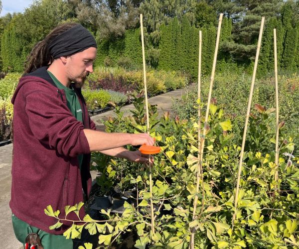Mitarbeiter mit Pflanzen