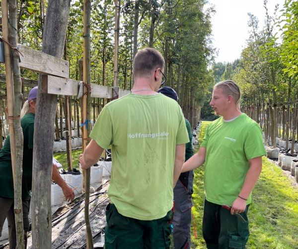 Mitarbeiter halten Baum