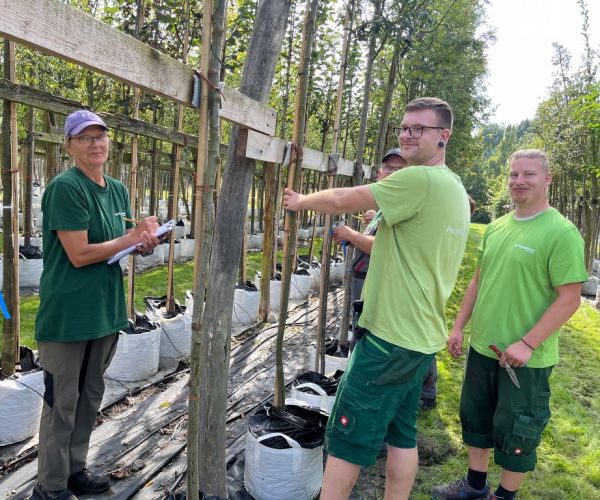 Mitarbeiter mit Bäumen