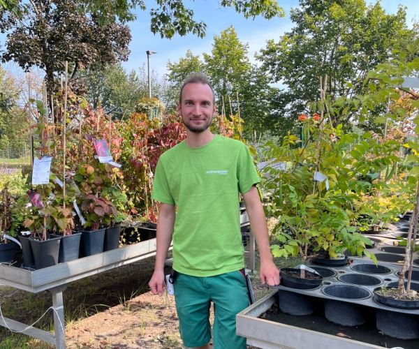 Mitarbeiter vor den Bäumen