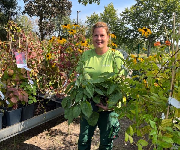 Mitarbeiter vor Pflanzen